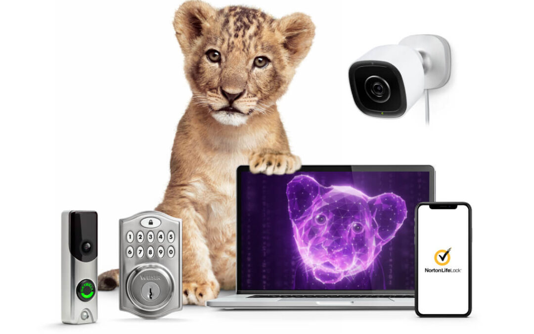 Safeguard Your Home with Smart Home Security